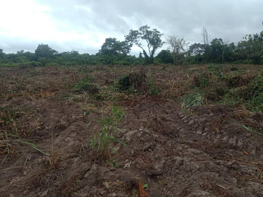 Prepared farmland on OneHope International's six-acre plot